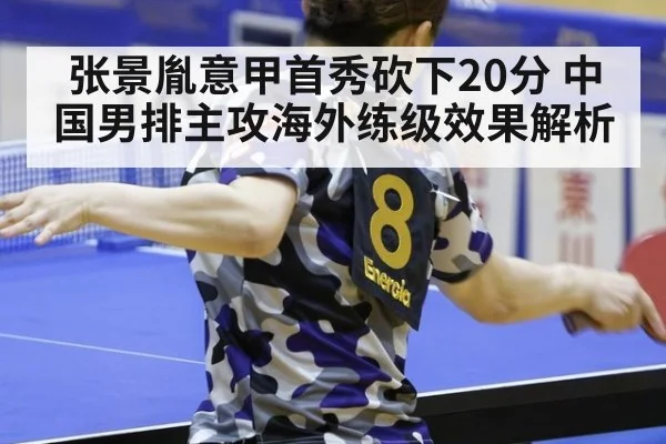 张景胤意甲首秀砍下20分 中国男排主攻海外练级效果解析